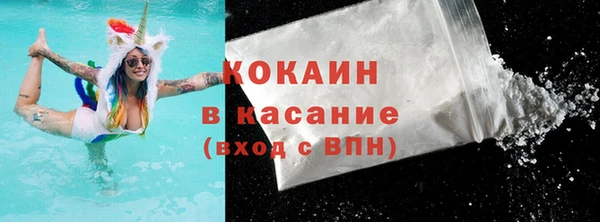 сатива Кулебаки
