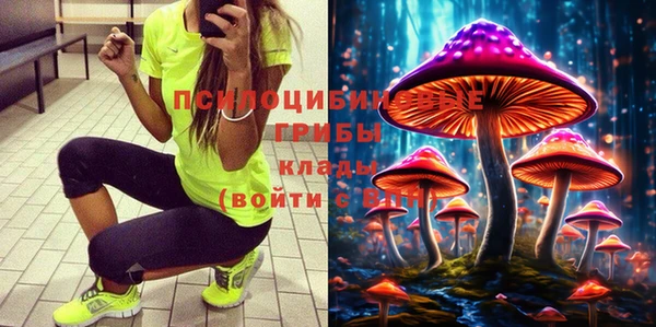 индика Краснотурьинск