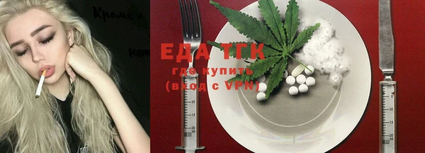 индика Краснотурьинск
