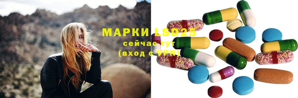 ПСИЛОЦИБИНОВЫЕ ГРИБЫ Краснослободск