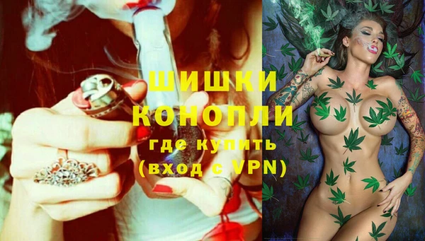 ПСИЛОЦИБИНОВЫЕ ГРИБЫ Краснослободск