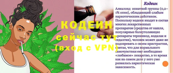 индика Краснотурьинск