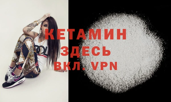 сатива Кулебаки
