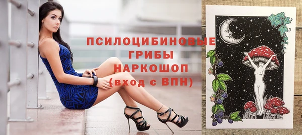 ПСИЛОЦИБИНОВЫЕ ГРИБЫ Краснослободск
