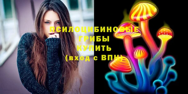 Альфа ПВП Кукмор