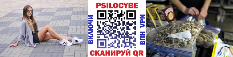 darknet официальный сайт Великий Новгород Псилоцибиновые грибы мицелий дарнет шоп