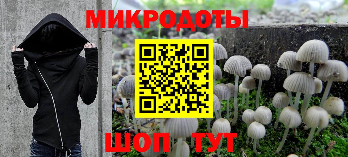Псилоцибиновые грибы GOLDEN TEACHER  Великий Новгород  Псилоцибиновые грибы мицелий 