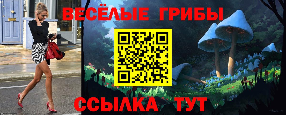 Псилоцибиновые грибы Psilocybe  Псилоцибиновые грибы GOLDEN TEACHER  Вход с VPN  Великий Новгород 