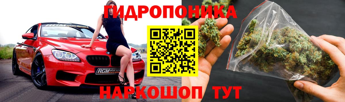 Шишки марихуана AK-47  Канабис Bruce Banner  Канабис THC 21%  Великий Новгород 